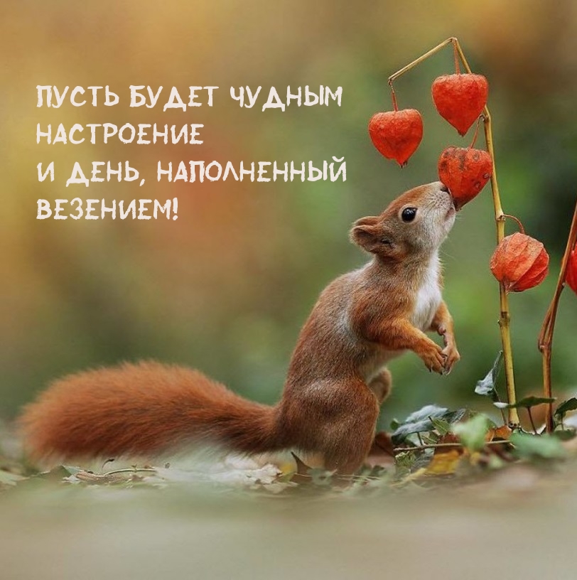 Пусть будет чудным Настроение И день, наполненный Везением!