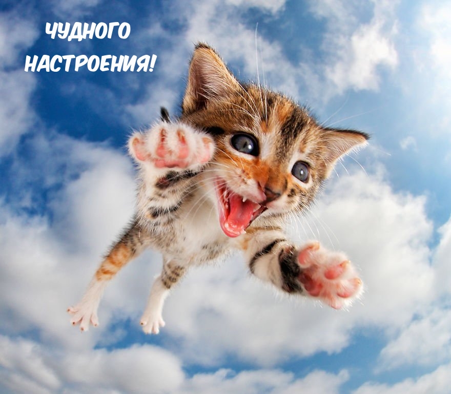 Чудного Настроения!