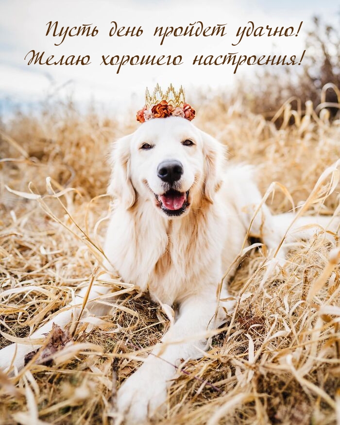 Пусть день пройдет удачно! Желаю хорошего настроения!