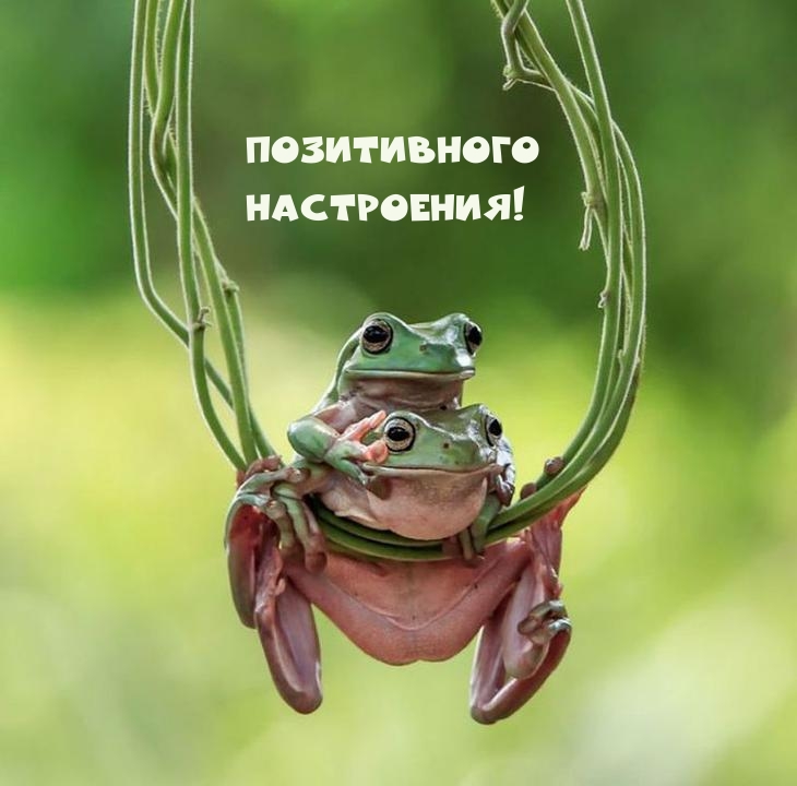 Позитивного Настроения!
