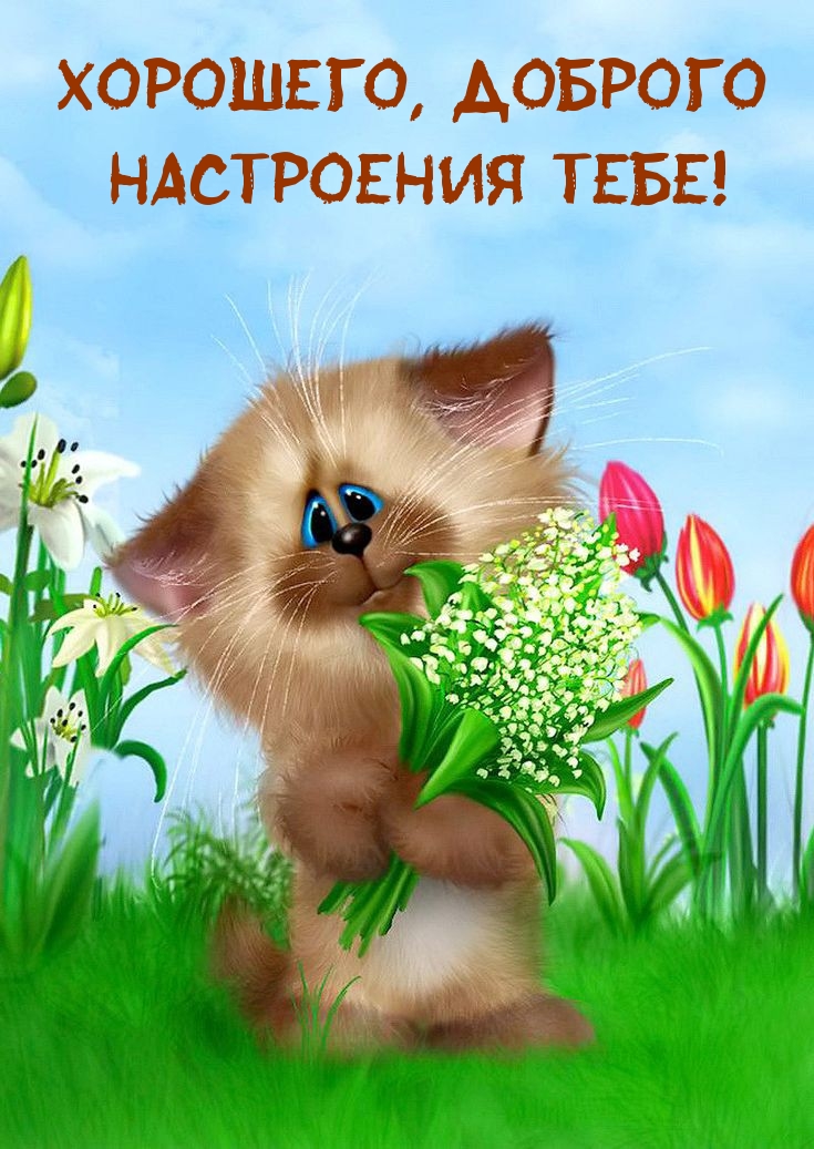Хорошего, доброго Настроения тебе!
