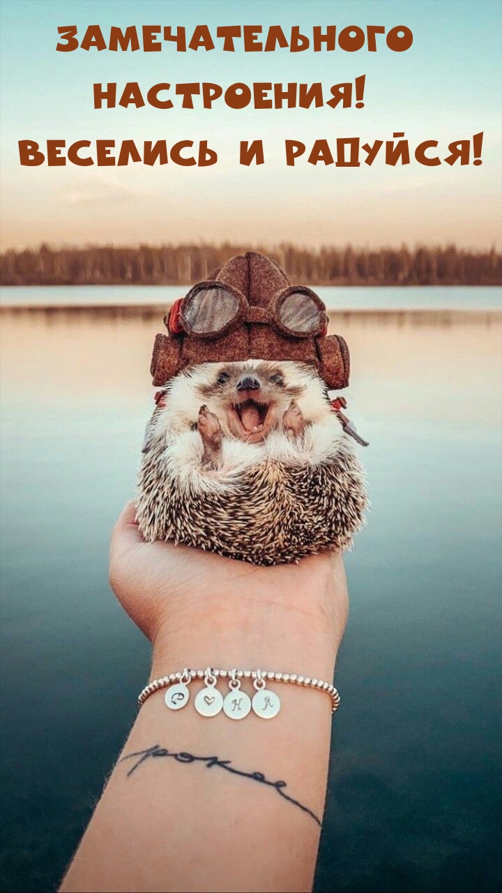 Замечательного Настроения! Веселись и радуйся!