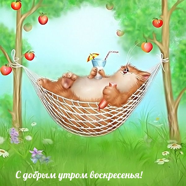 С добрым утром воскресенья!