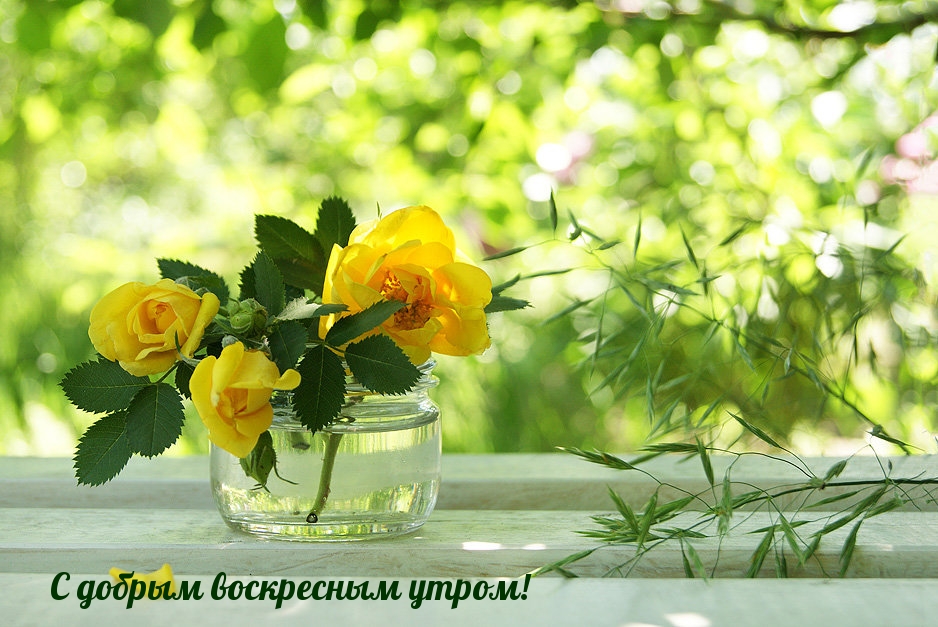 С добрым воскресным утром!