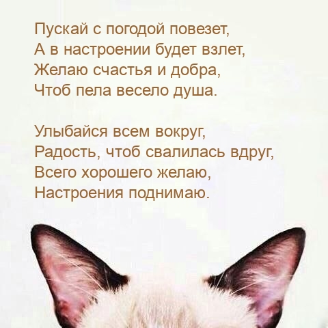 Пускай с погодой повезет, а в настроении будет взлет