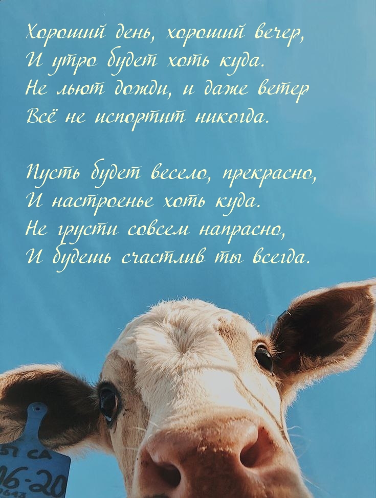 Хороший день, хороший вечер, и утро будет хоть куда.