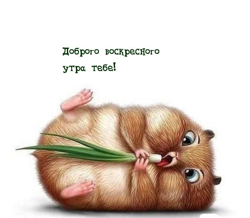 Доброго воскресного утра тебе!