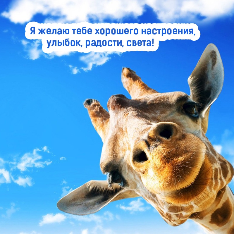 Я желаю тебе хорошего настроения, улыбок, радости, света!