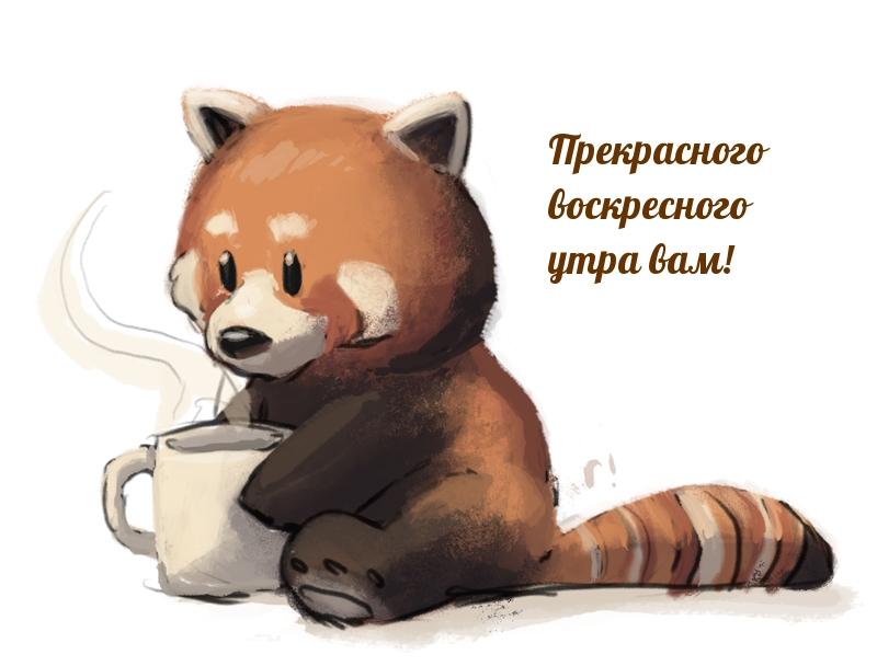 Прекрасного воскресного утра вам!