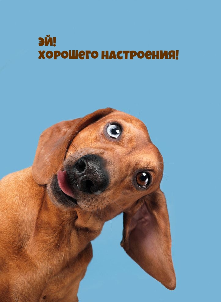 Эй! Хорошего настроения!