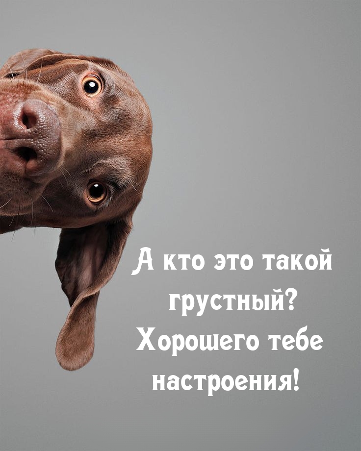 А кто это такой грустный? Хорошего тебе настроения!