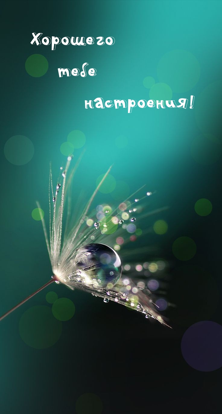 Хорошего тебе настроения!