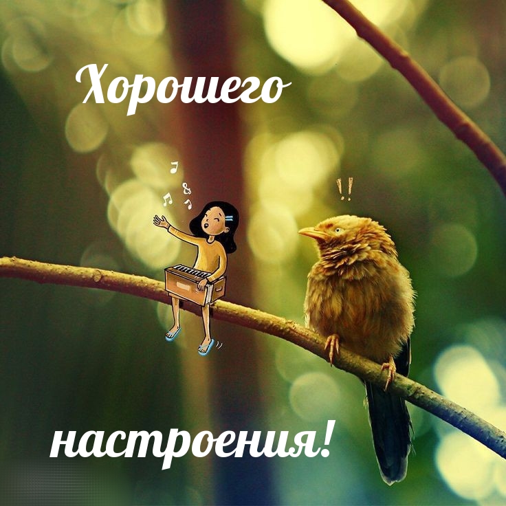 Хорошего настроения!