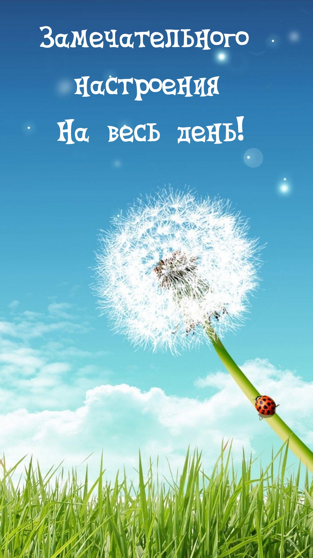 Замечательного настроения На весь день!