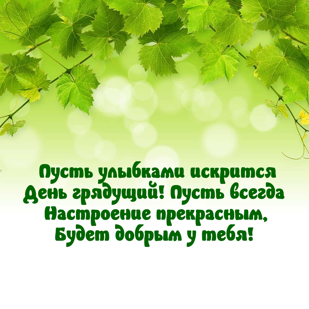 Пусть улыбками искрится день грядущий!