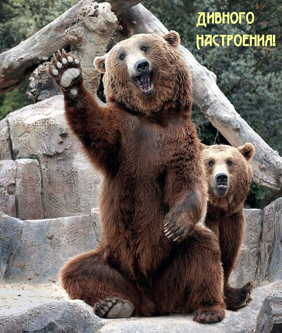 Дивного Настроения!