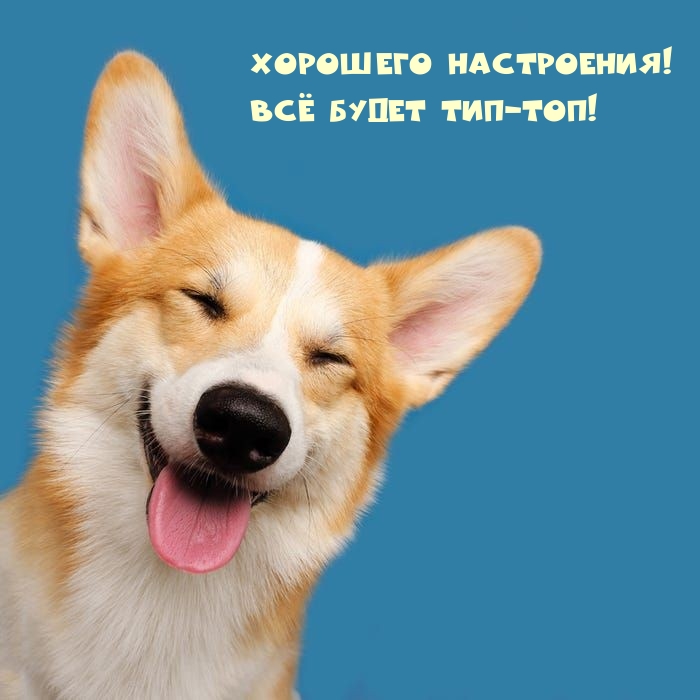 Хорошего настроения! Всё будет тип-топ!