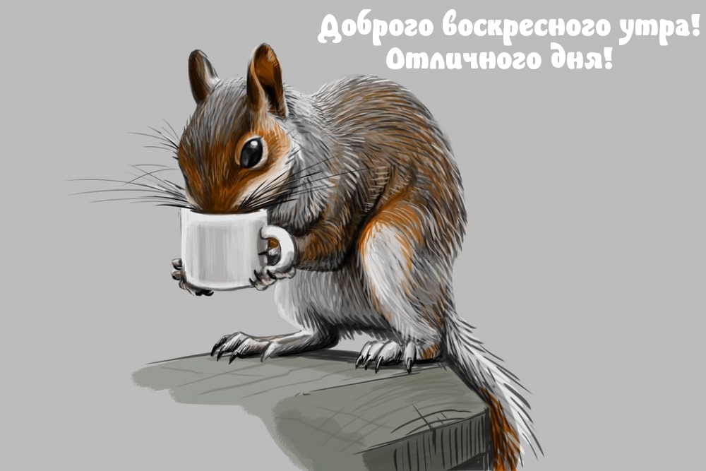 Доброго воскресного утра! Отличного дня!