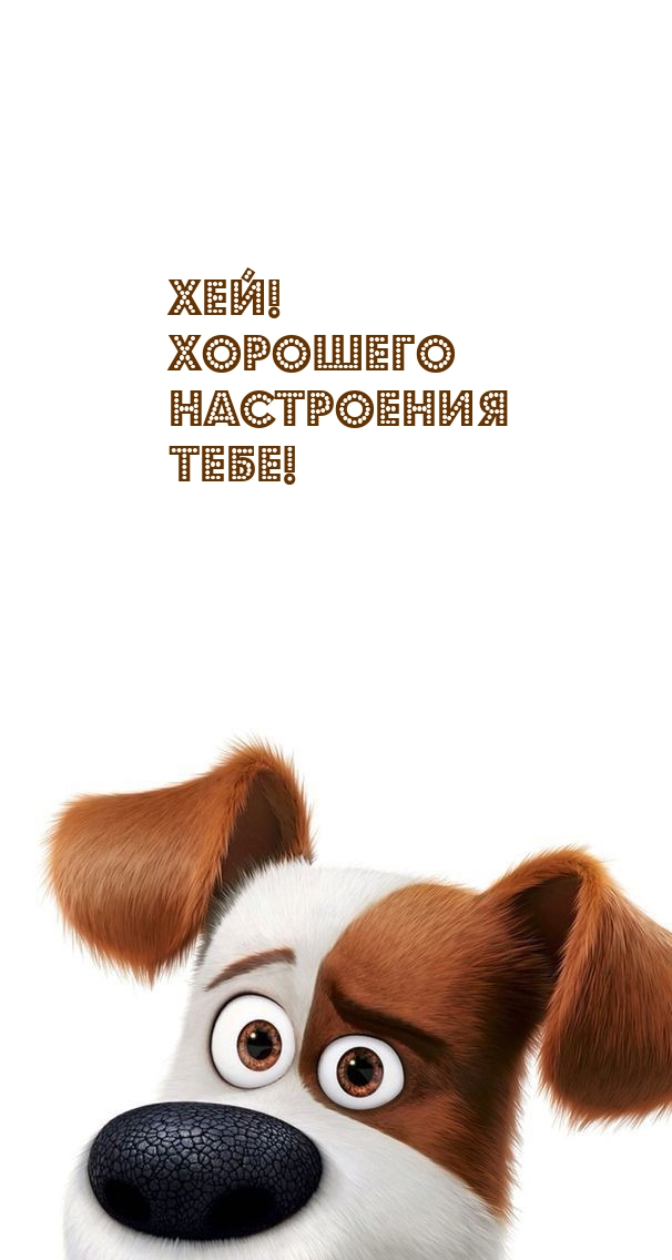 Хей! Хорошего настроения тебе!