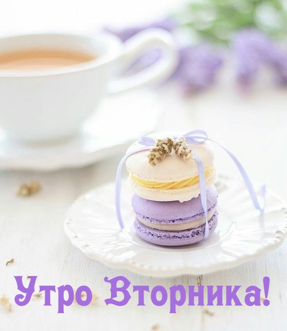 Утро Вторника!