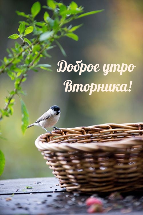 Доброе утро Вторника!