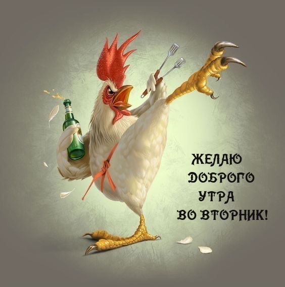 Желаю доброго утра во вторник!