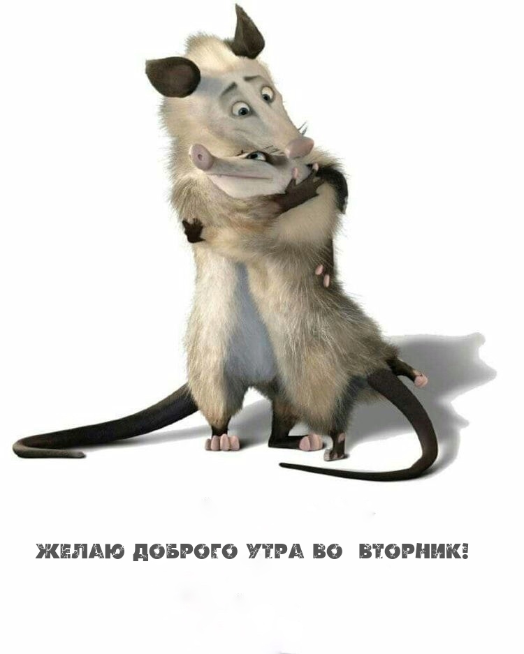 Картинка - Желаю доброго утра во вторник!.