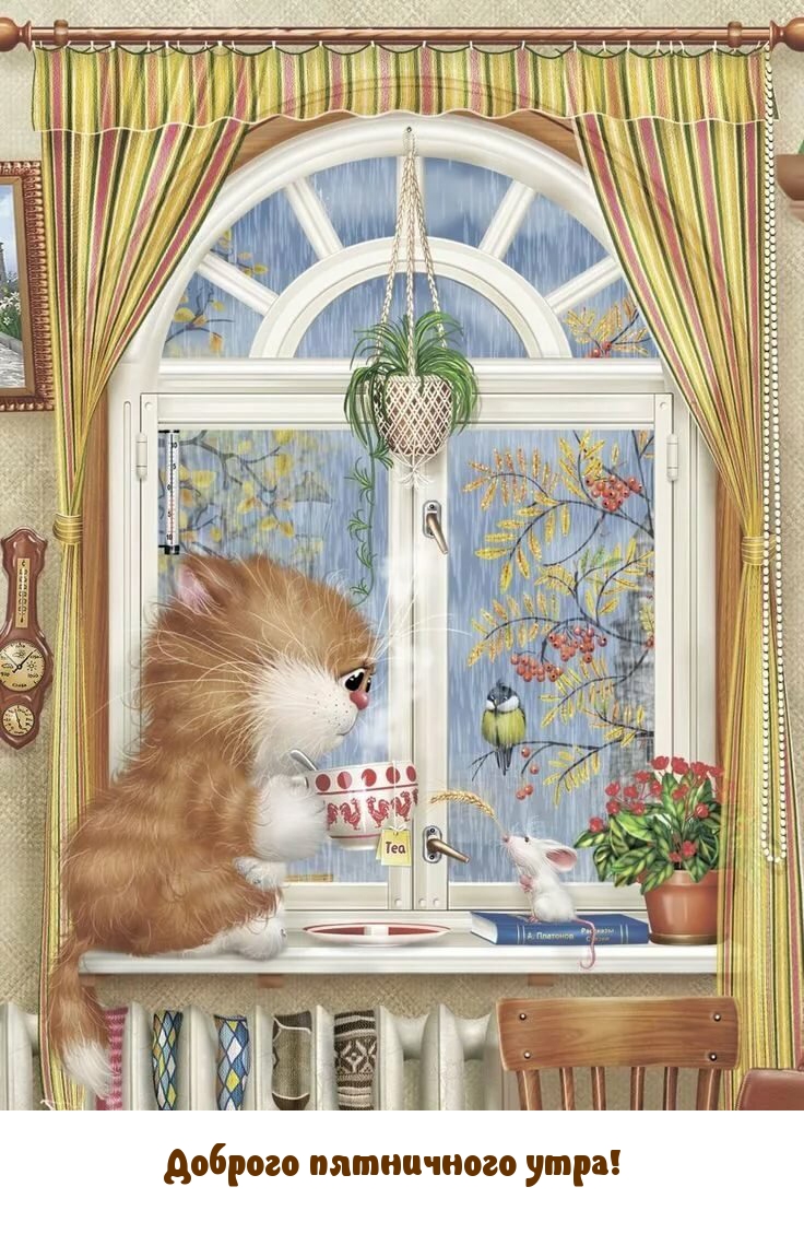 Доброго пятничного утра!