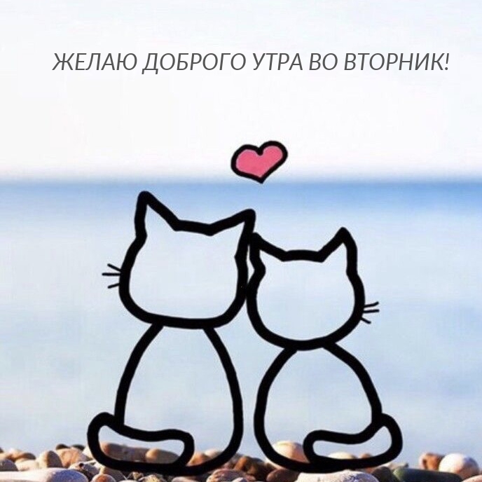 Желаю доброго утра во вторник!