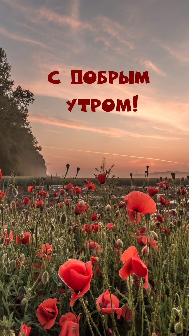 С добрым утром!