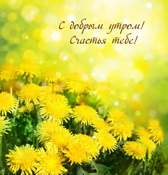 С добрым утром! Счастья тебе!