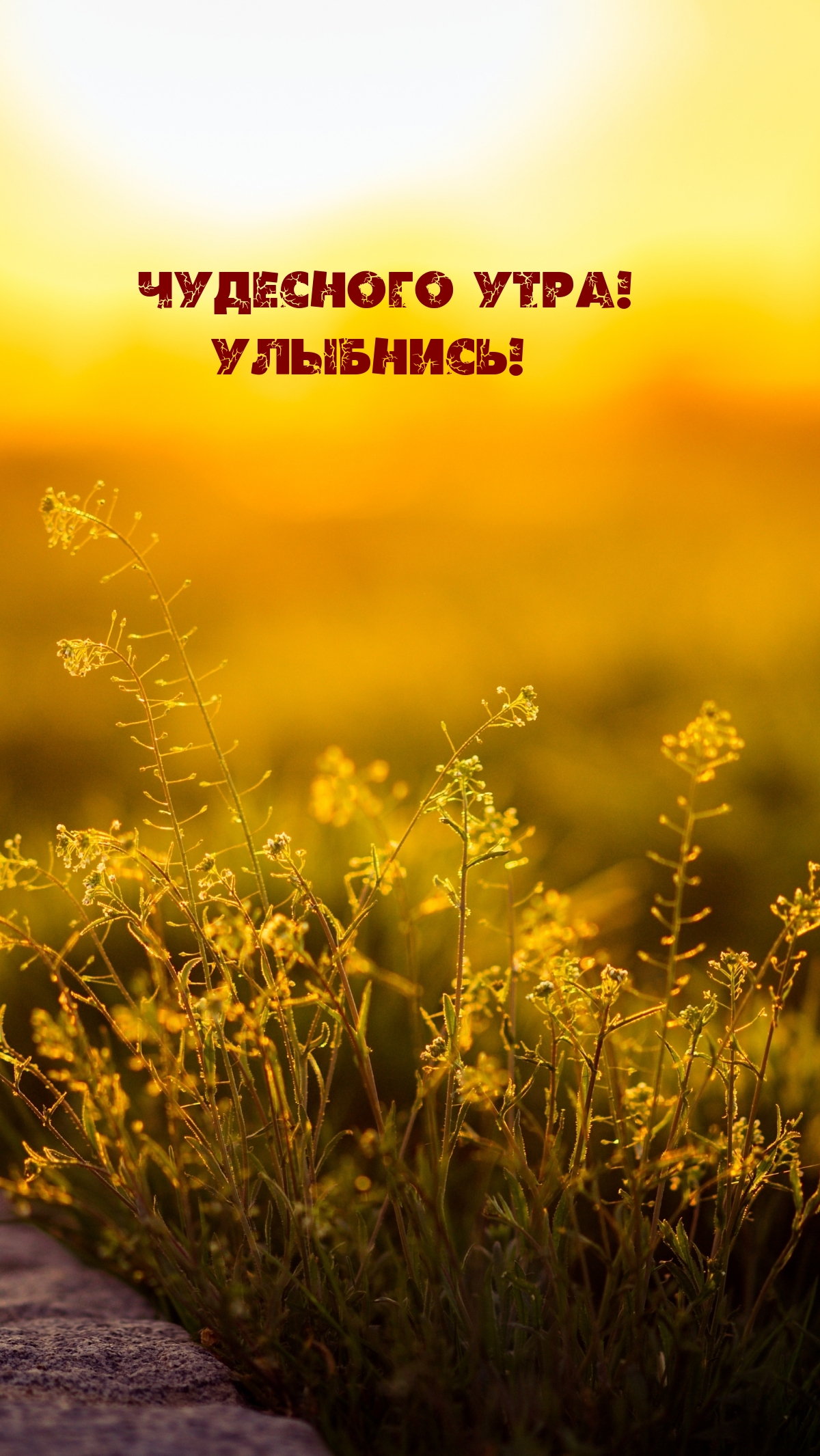 Чудесного утра! Улыбнись!
