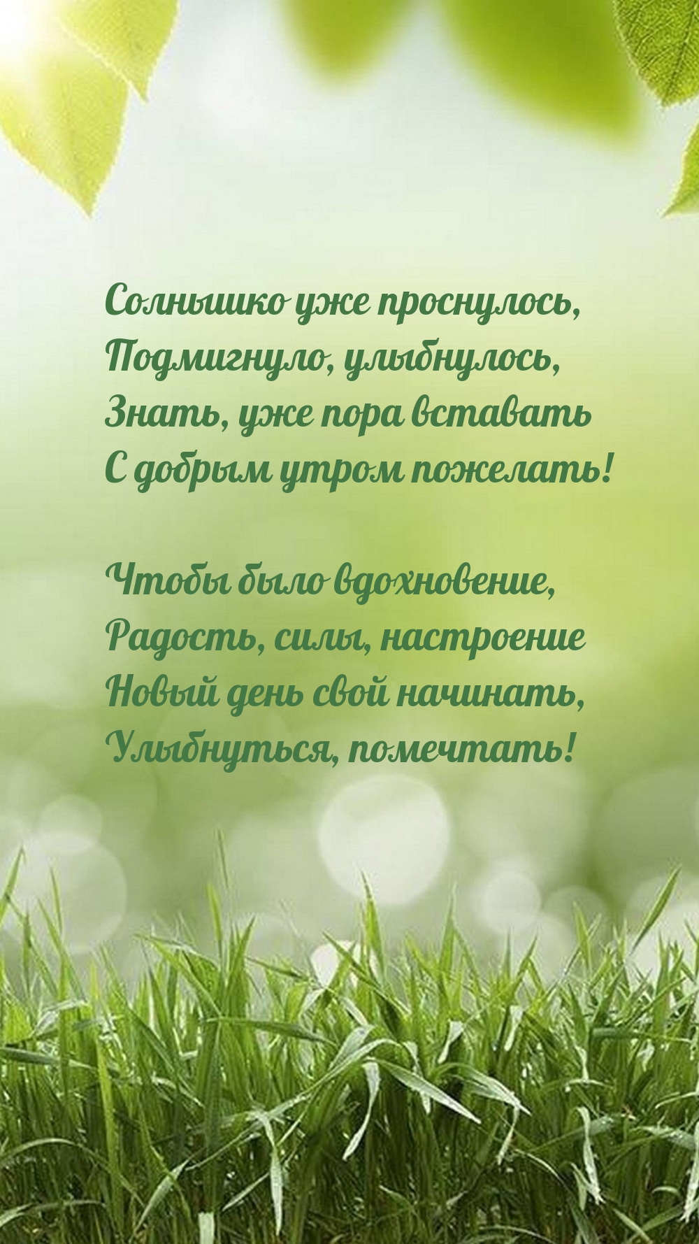Знать, уже пора вставать с добрым утром пожелать!