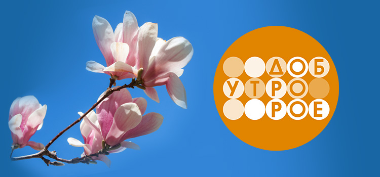 Доброе утро!