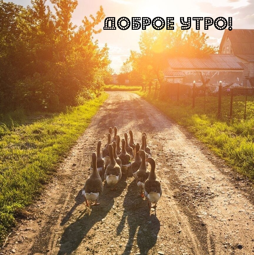 Доброе утро!