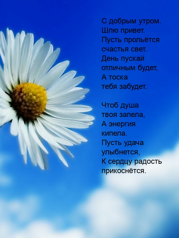 С добрым утром. Шлю привет. Пусть прольётся счастья свет.
