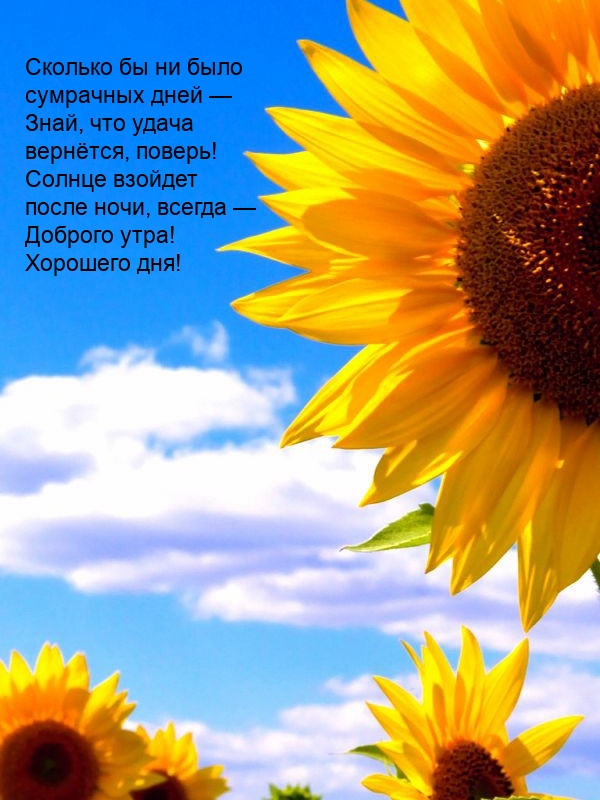 Солнце взойдет после ночи, всегда — доброго утра! Хорошего дня!
