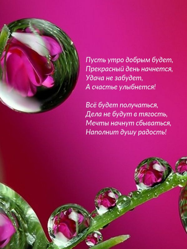 Пусть утро добрым будет, прекрасный день начнется