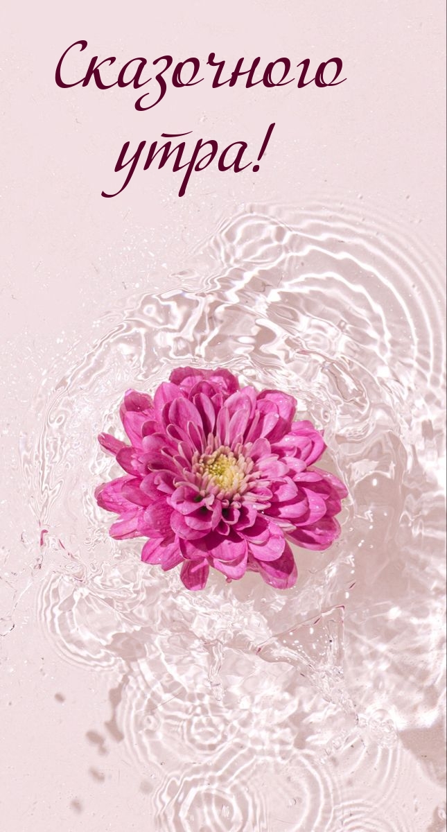 Сказочного утра!
