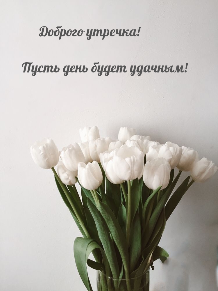 Доброго утречка! Пусть день будет удачным!