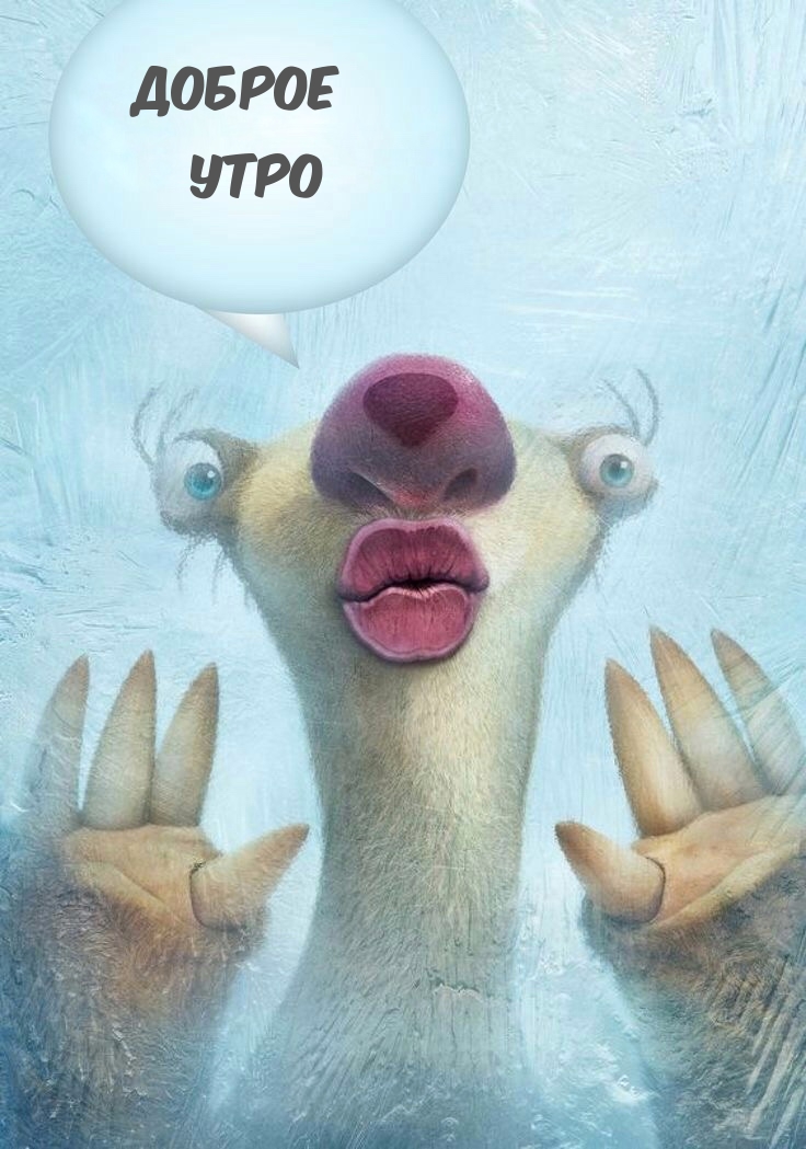 Доброе утро