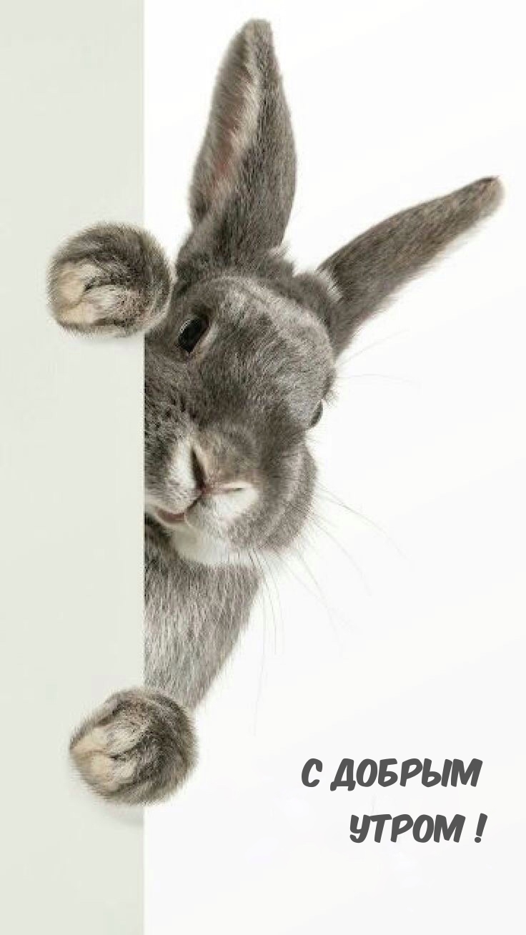С Добрым утром!