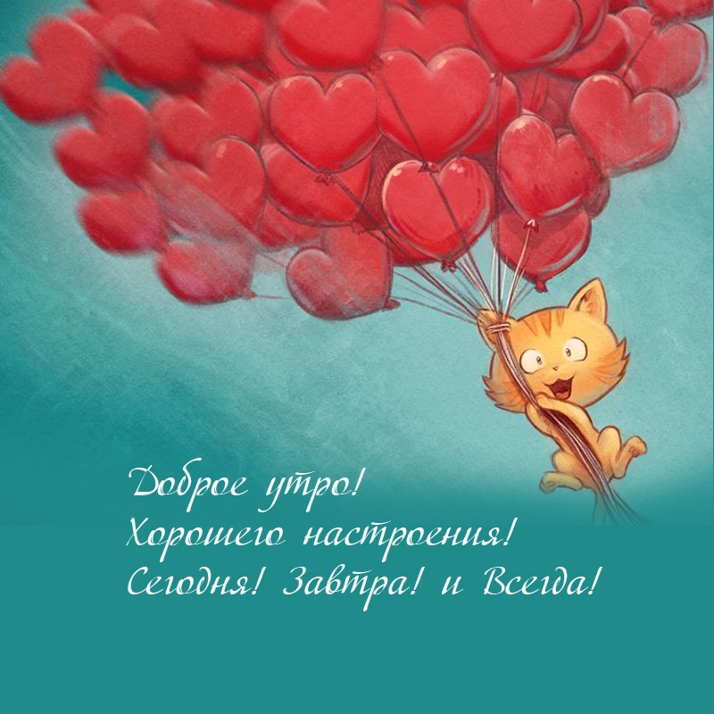 Доброе утро! Хорошего настроения!