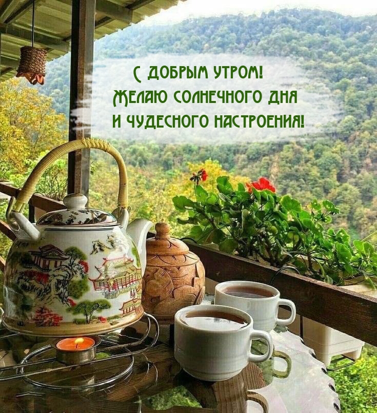 С добрым утром!  Желаю солнечного дня