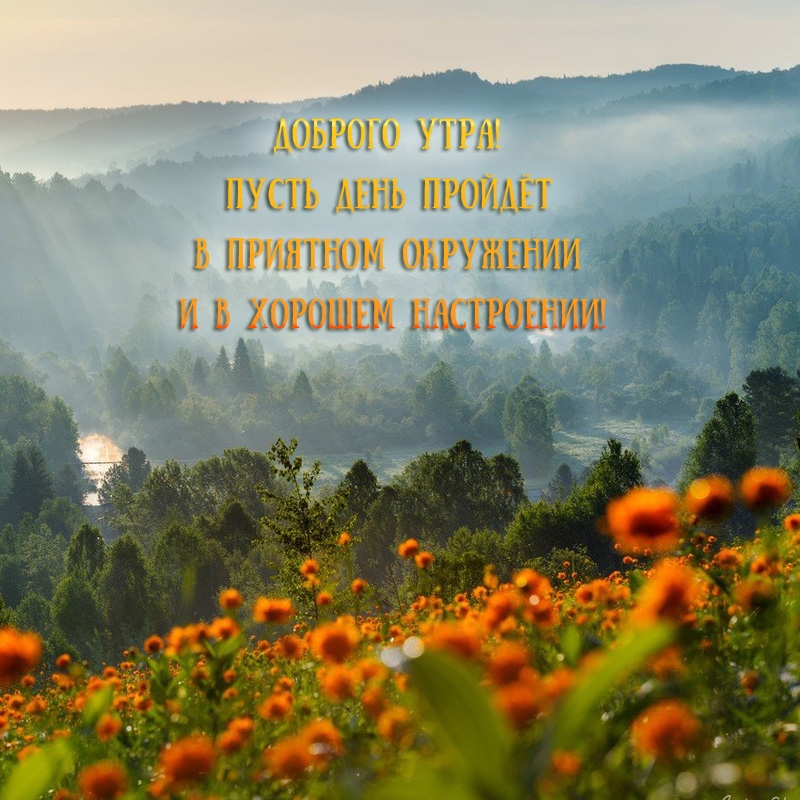 Пусть день пройдёт в приятном окружении и в хорошем настроении!