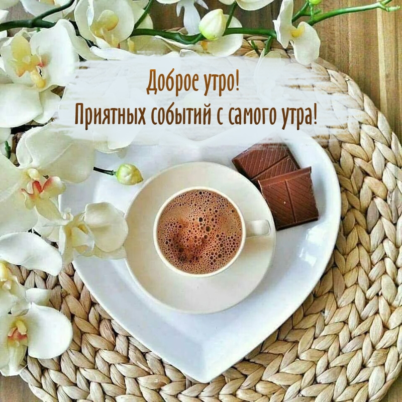 Доброе утро! Приятных событий с самого утра!