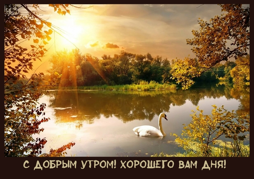 С добрым утром! Хорошего вам дня!