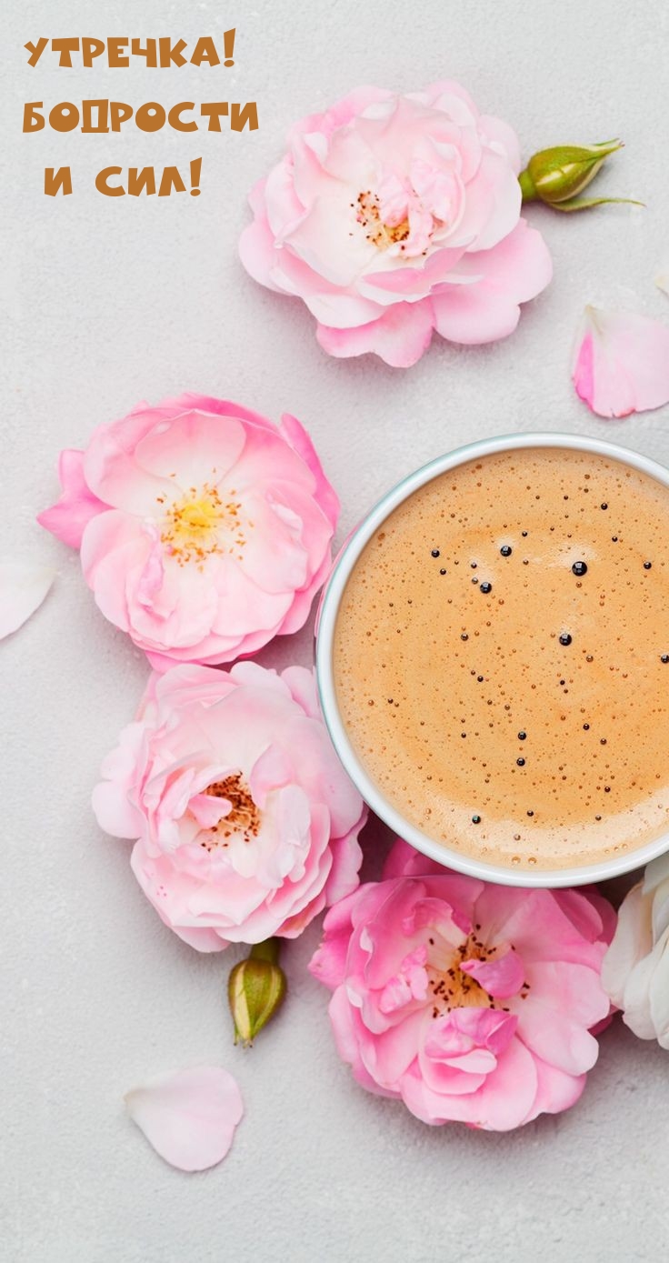 Утречка! Бодрости И сил!