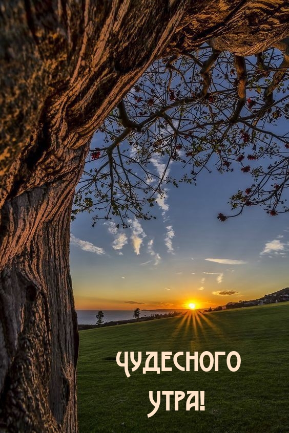 Чудесного Утра!
