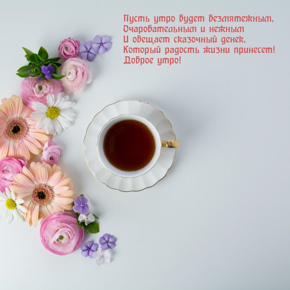 Который радость жизни принесет! Доброе утро!